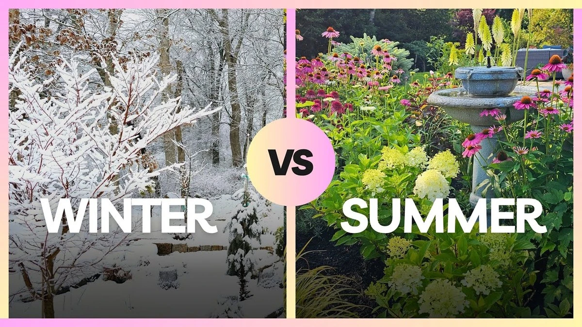 Gartenumbau im Winter: 5 Beispiele unter 500 Euro, die begeistern - image 1