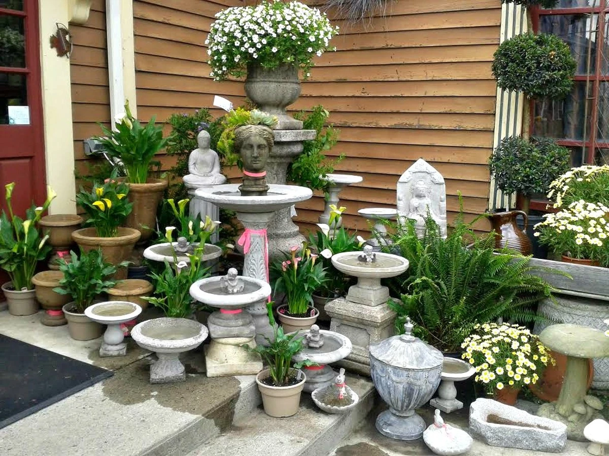 Garten-Vogelparadies: Der kostenlose Trick für Tierliebe - image 2