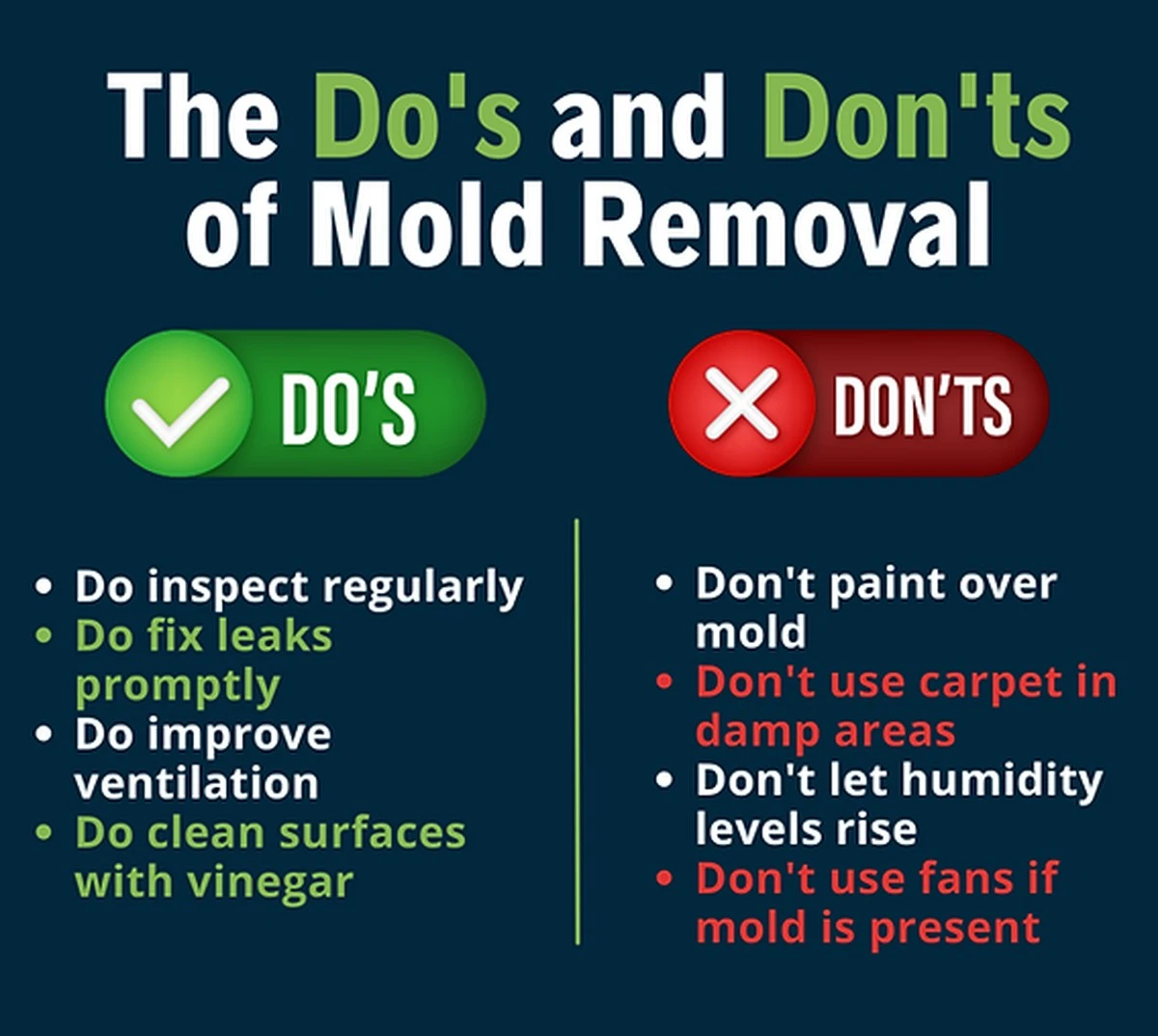 Genialer Hausmittel: Ein Päckchen Salz gegen feuchte Fenster – Ihr Zuhause wird es Ihnen danken! - image 2