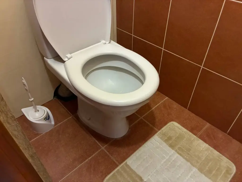 Haushaltstricks: Wie Sie den Toilettengeruch seit Jahren ohne Chemie loswerden