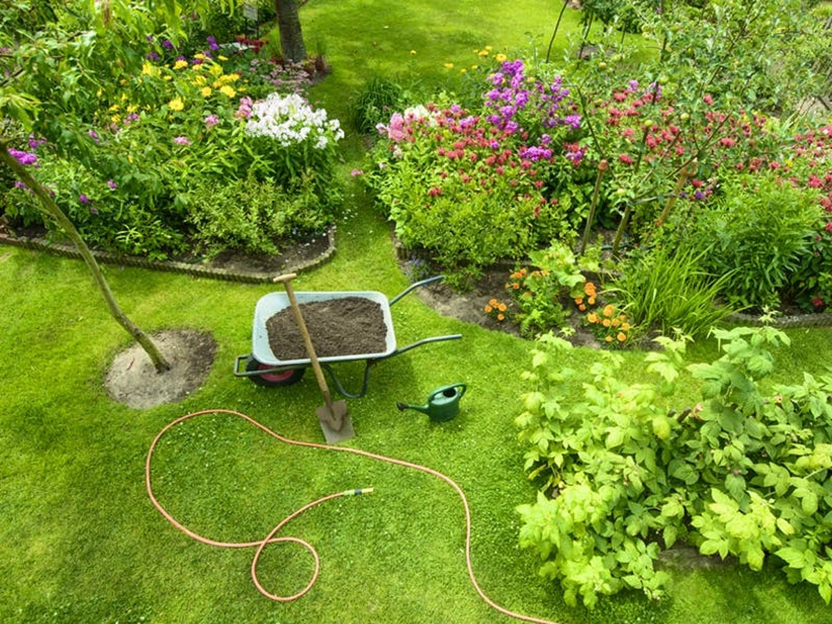 Ich habe keinen einzigen Kunststoff mehr in meinem Garten (und meinem Gemüsegarten): So habe ich es geschafft, darauf zu verzichten - image 1