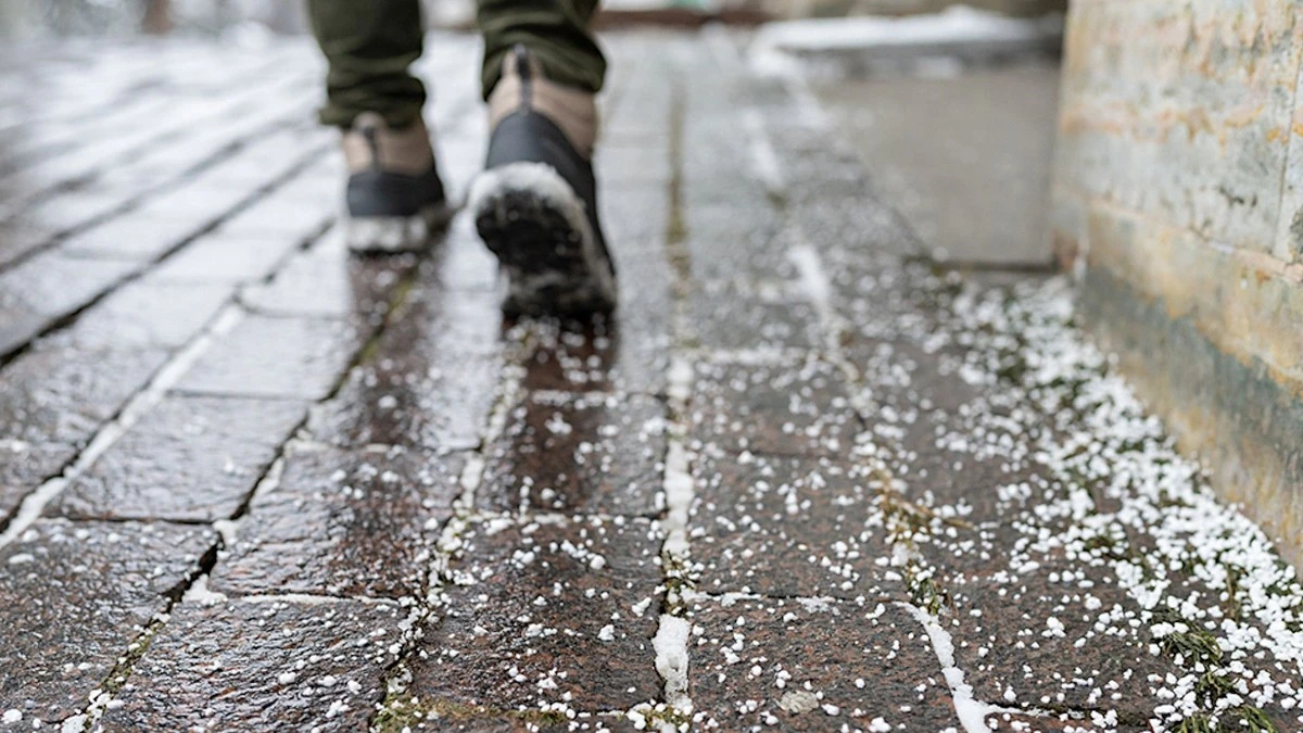 Kostenloses Streugut: So kommen Sie sicher durch Eis und Schnee – ohne Einkaufen! - image 2