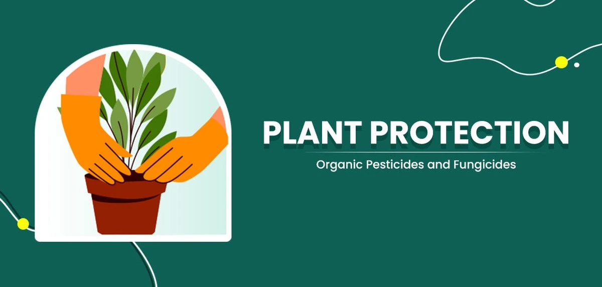 Mini-Gewächshäuser aus Müll: Pflanzen-Schutz bei -15°C - image 2