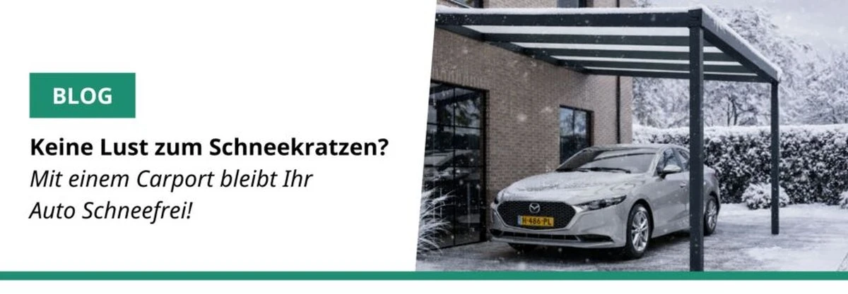 Nie mehr Eiskratzen: Auto eisfrei über Nacht dank Geheimtipp - image 1