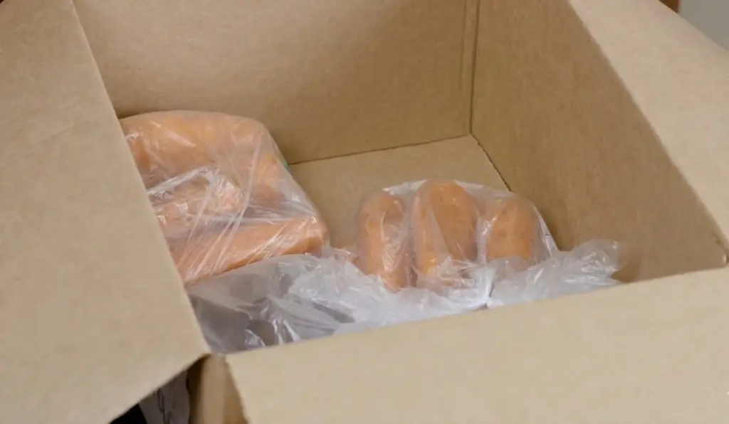 Olle und Lärche. Warum Postkartons im Winter zum Gemüse-Schutz werden