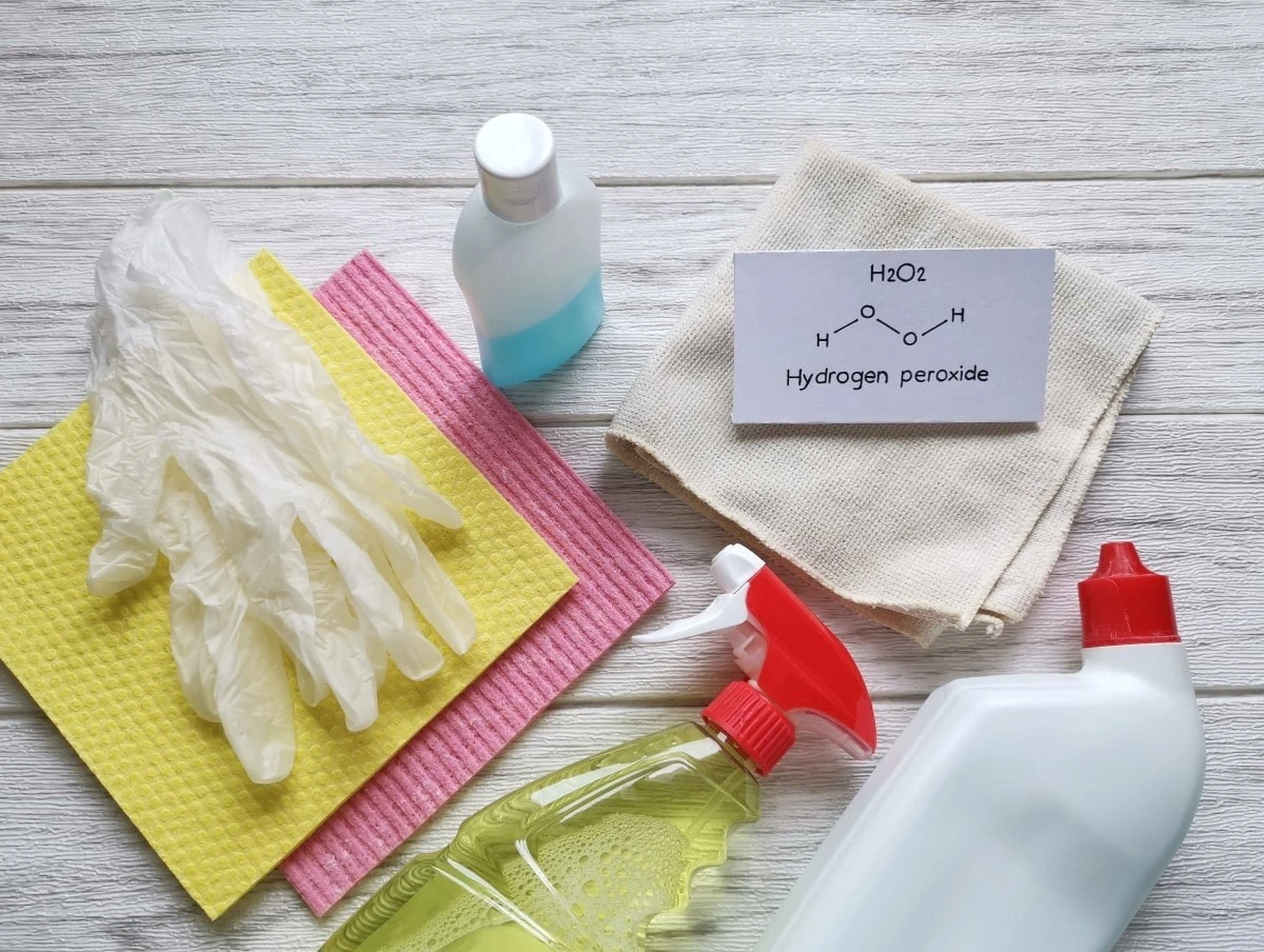 Schimmel an den Wänden: Dieser Hausmittel-Trick beseitigt ihn in Minuten – ohne Chemie & Tapetenschäden - image 1