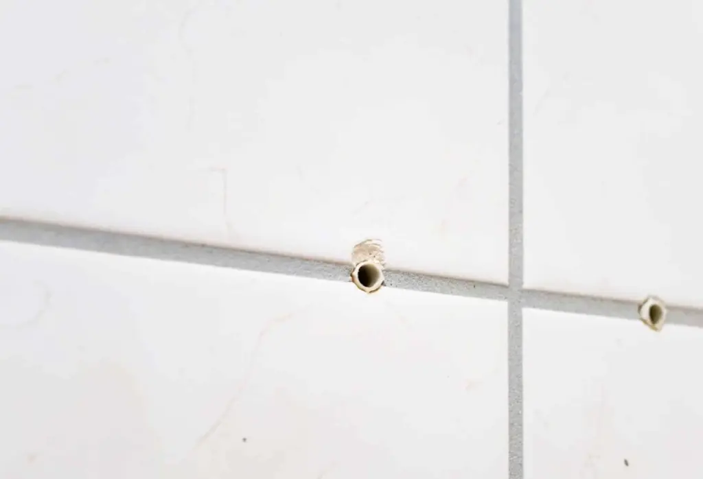 Sciure de bois et colle : Comment réparer des trous de chevilles 7 fois plus fort que le plâtre