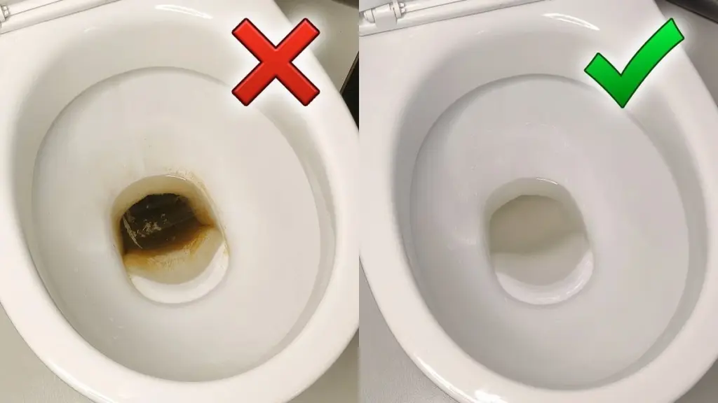 So einfach entkalken Sie Ihr WC in 60 Minuten – ohne Chemie