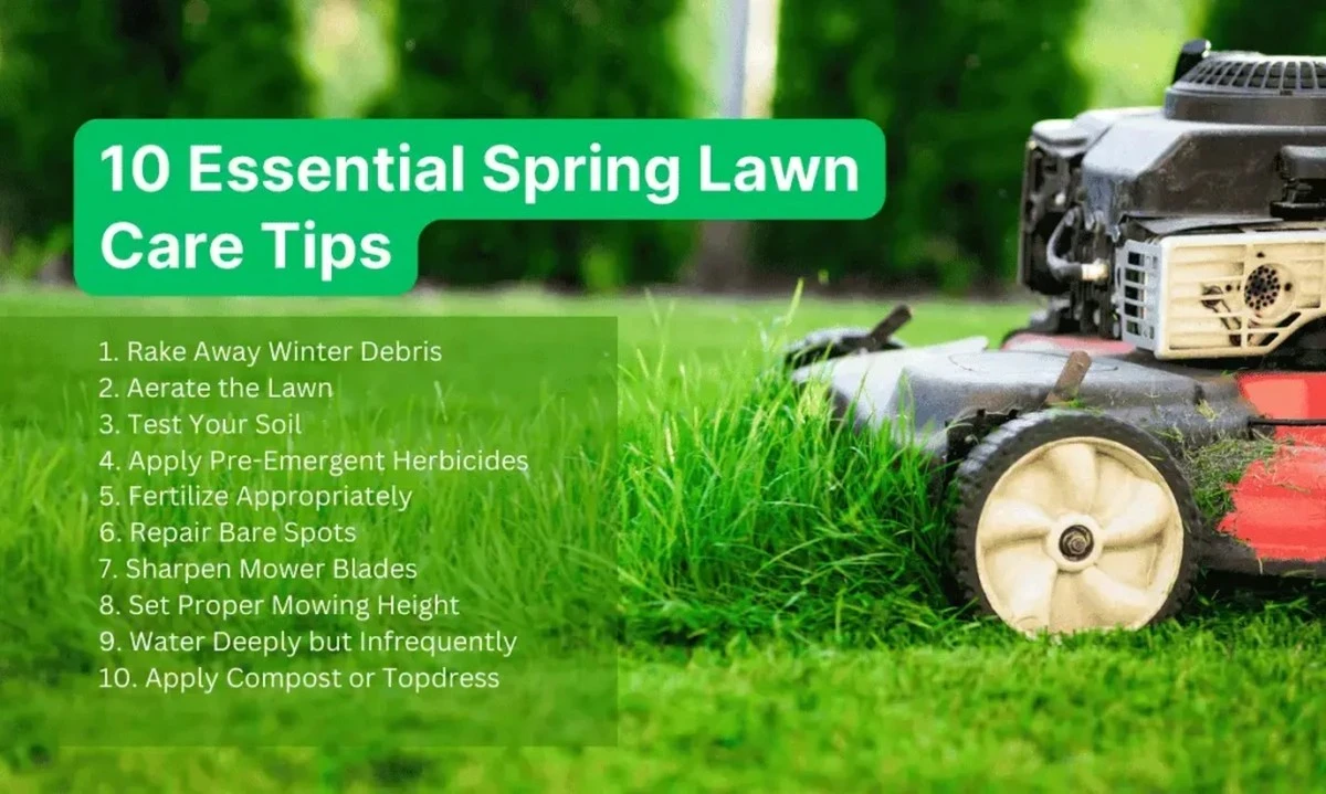 Warum eine bestimmte Schnitthöhe für Ihren Rasen im späten Winter entscheidend ist - image 1