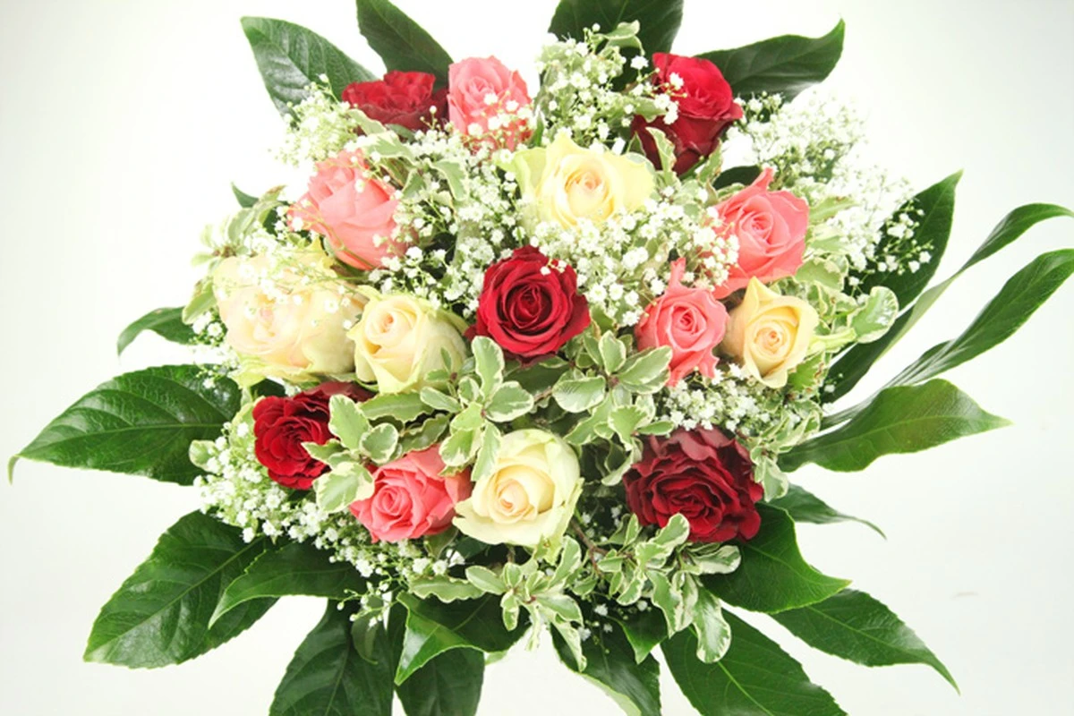 Warum ein Spritzer Sprite Ihre Rosen eine Woche länger strahlen lässt - image 1