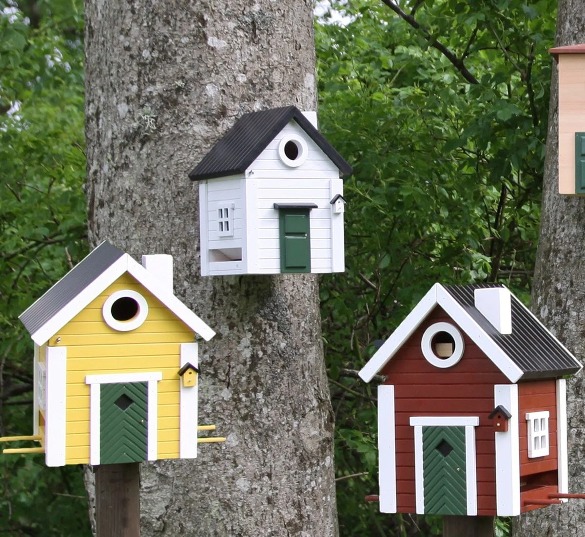 Warum erfahrene Gärtner im Februar schon Nistplätze bauen - image 1
