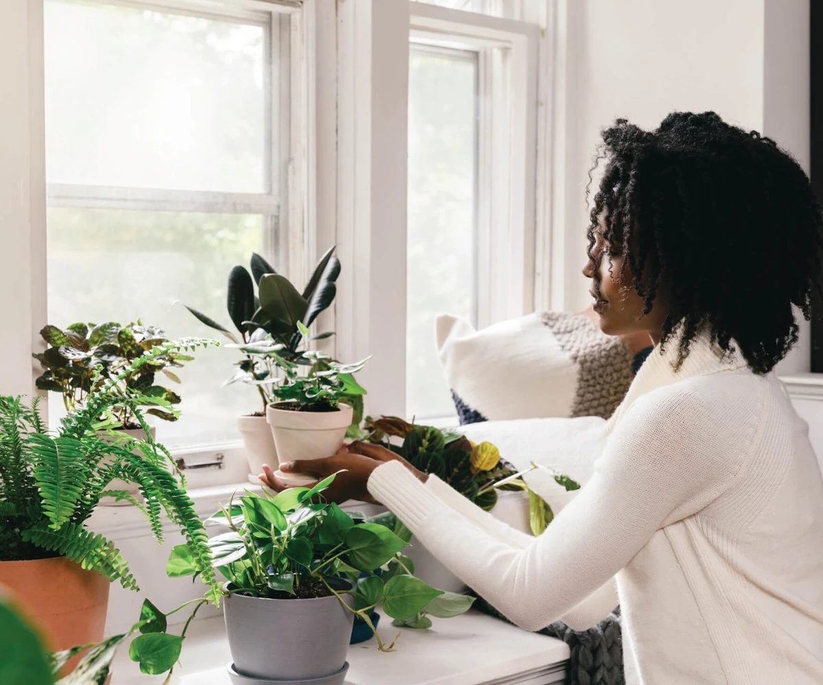 Warum ich im Winter keine Untersetzer mehr unter meinen Topfpflanzen verwende – und was ich stattdessen tue (ihre Wurzeln werden es Ihnen danken) - image 1