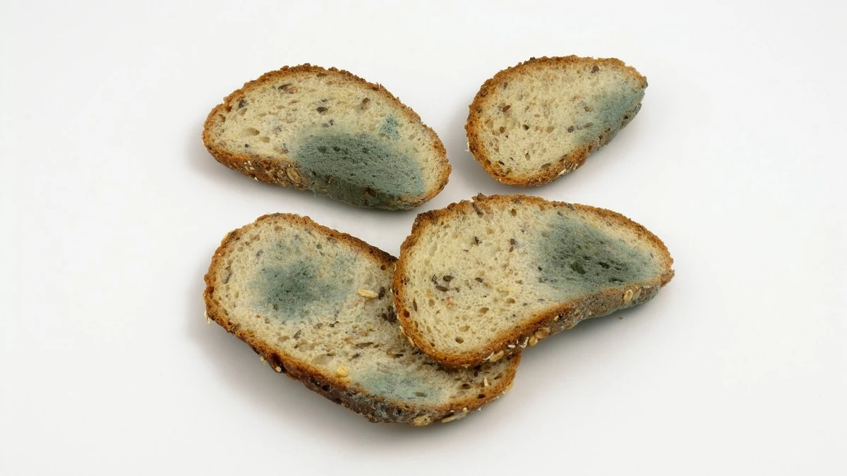 Warum Ihre Lebensmittel zu schnell verderben: Dieser eine Kühlschrank-Einstellung war der Schuldige - image 2