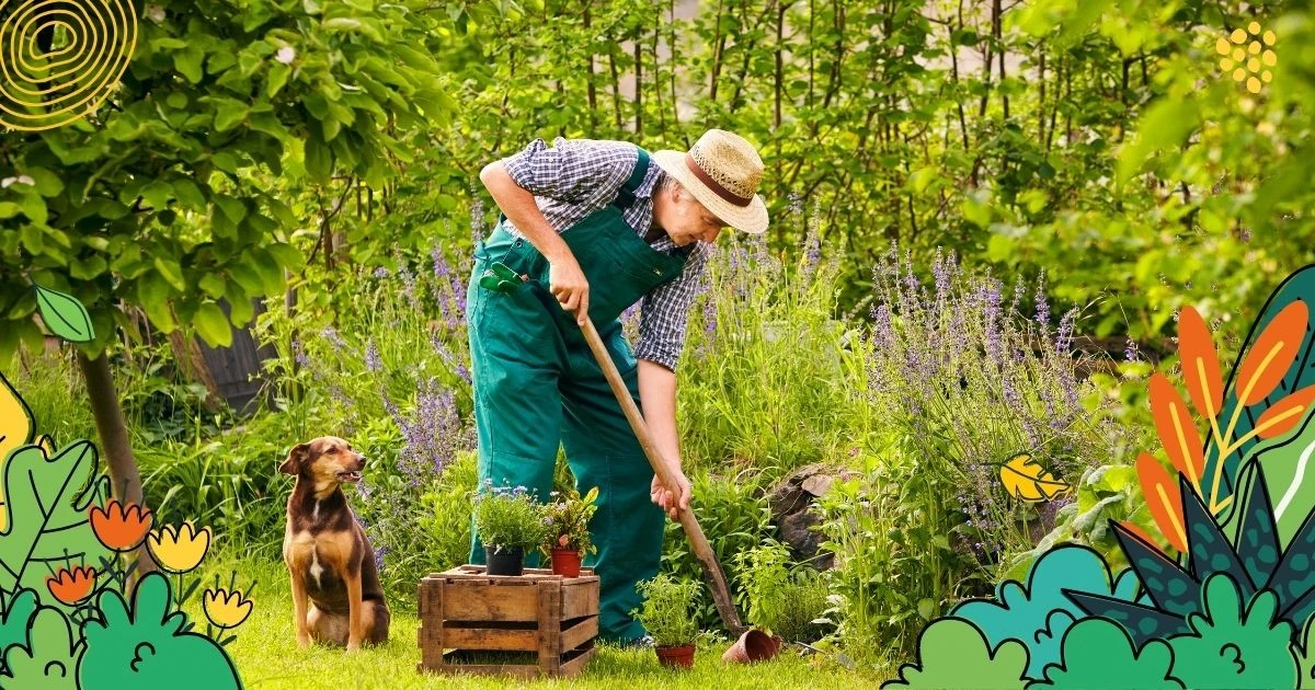 Warum Ihr Garten trotz viraler Tricks zugrunde geht: Das Salz-Essig-Geheimnis - image 1
