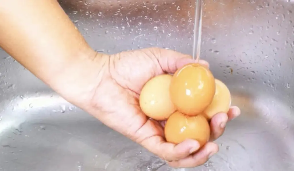 Warum Sie Eier niemals unter fließendem Wasser waschen sollten