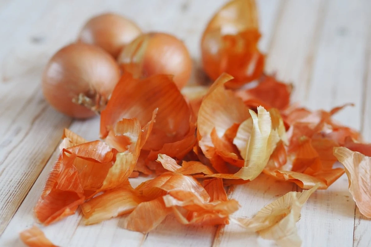 Warum Sie Geld für Dünger verschwenden: 5 Zwiebelschalen genügen – und meine Zimmerpflanzen explodieren regelrecht - image 1