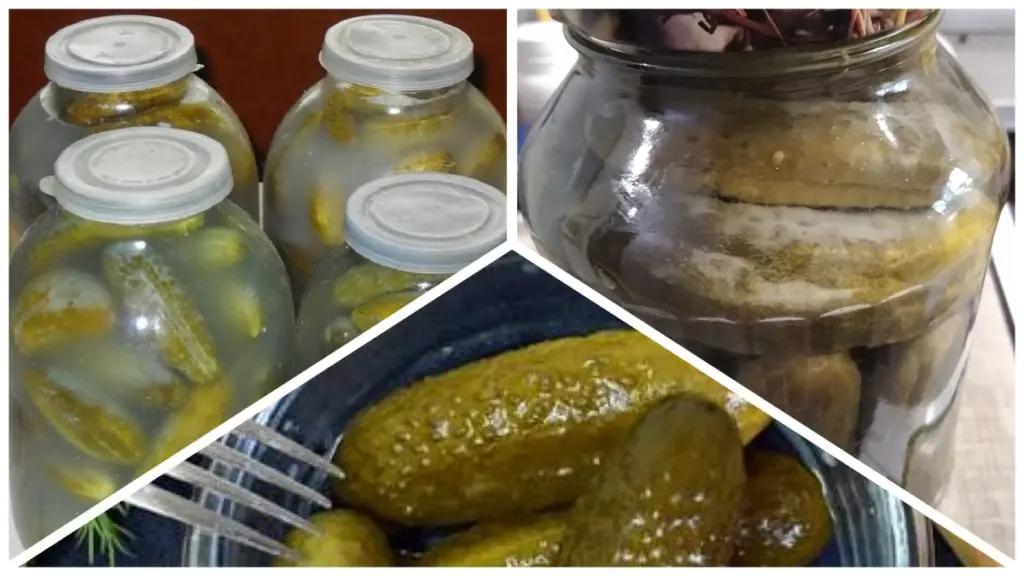 Weiße Beläge auf Gurken: Die wahre Geschichte hinter dem weißen Film