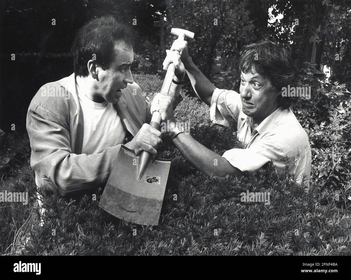 Wenn der Gartenzaun zum Nachbarschaftsstreit wird: Eine einfache Hecke kann teuer werden - image 1