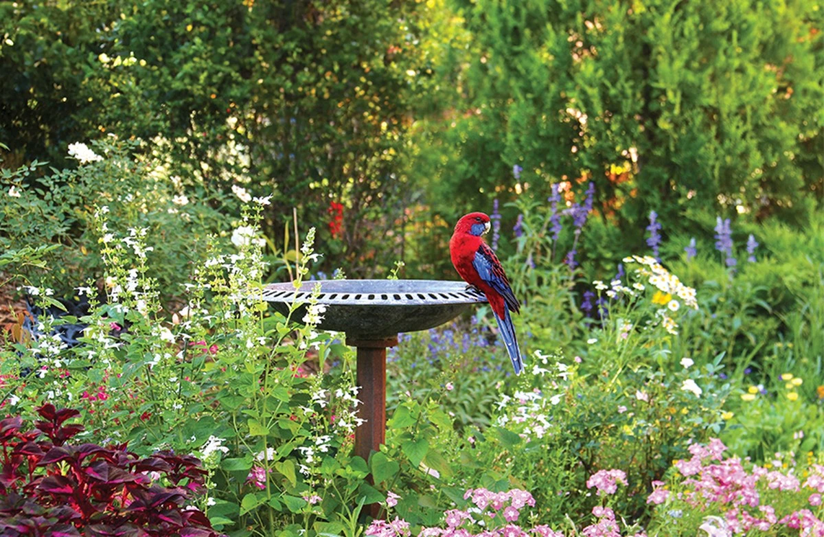 Zwei Gründe, warum Gärtner Ihre Schnittabfälle nicht wegwerfen sollten - image 2