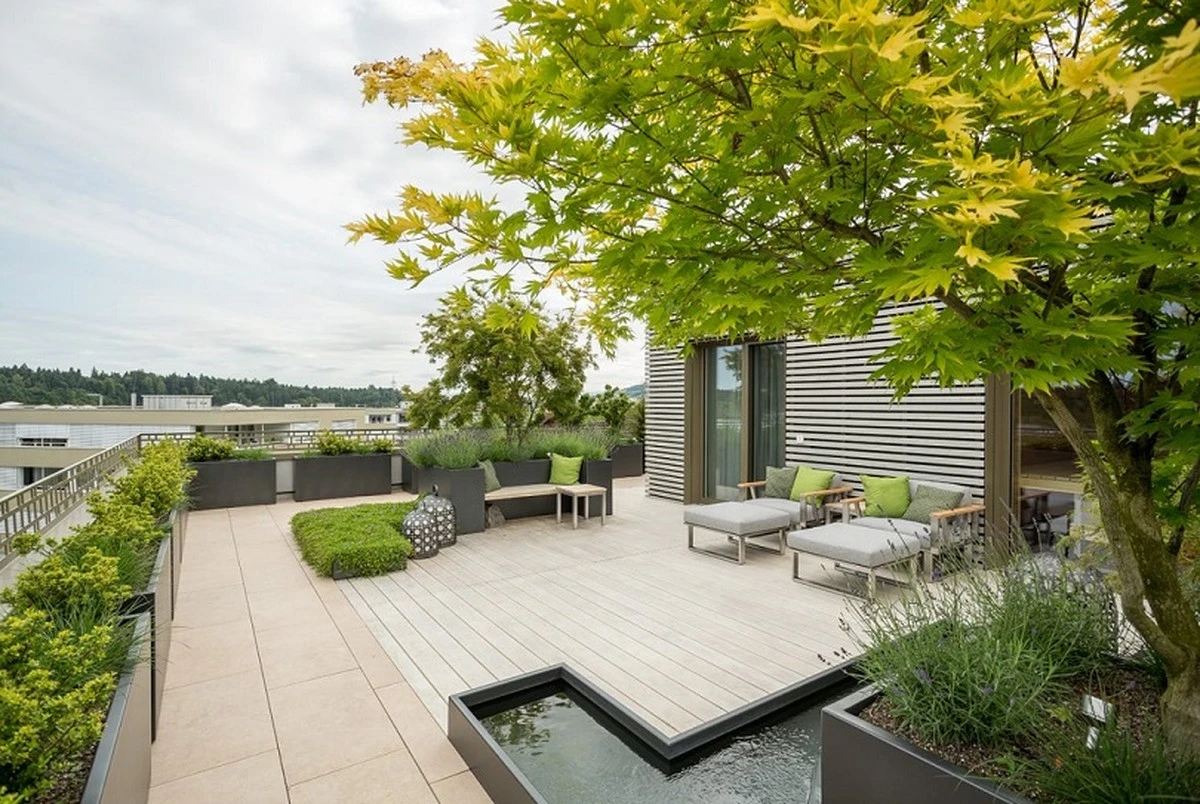 15 Bäume, die Ihr Zuhause im Handumdrehen verwandeln - image 2