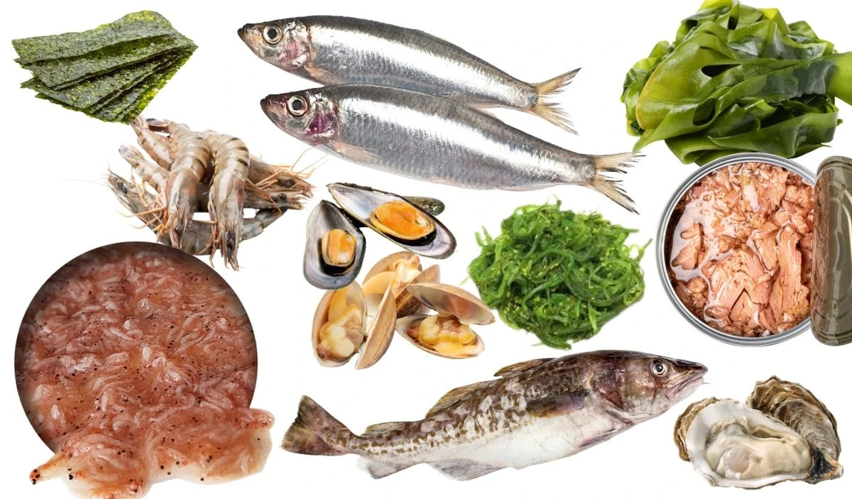 4 eisen- und jodreiche Lebensmittel, die Sie im Auge behalten sollten - image 2