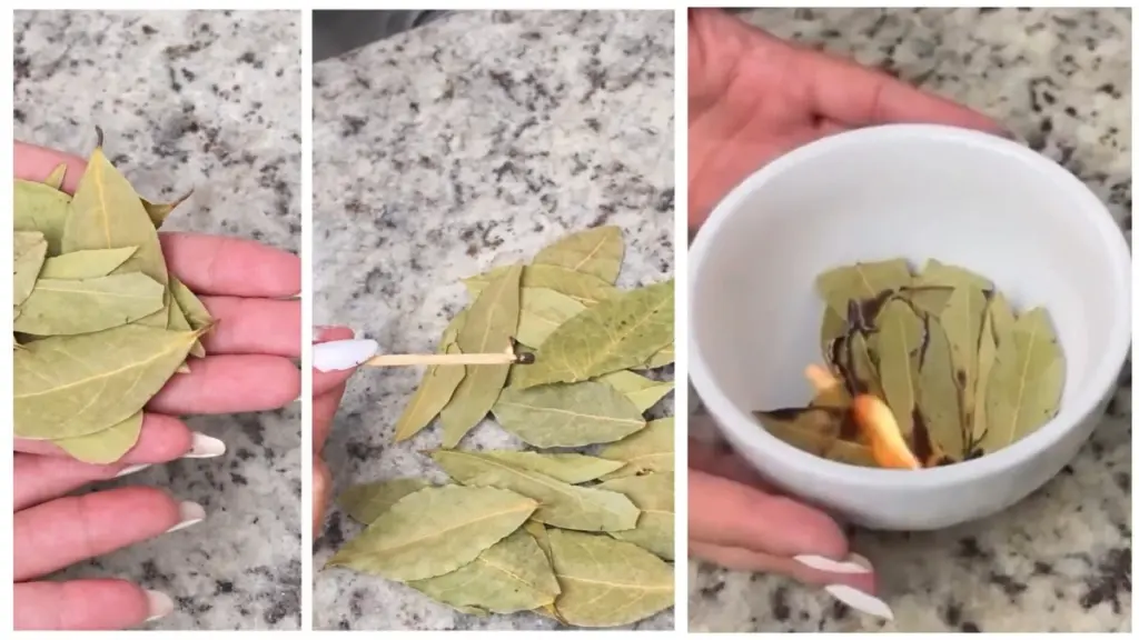 4 Glückstage im März: Warum nun das Verbrennen von Lorbeerblättern Ihr Leben verändern kann