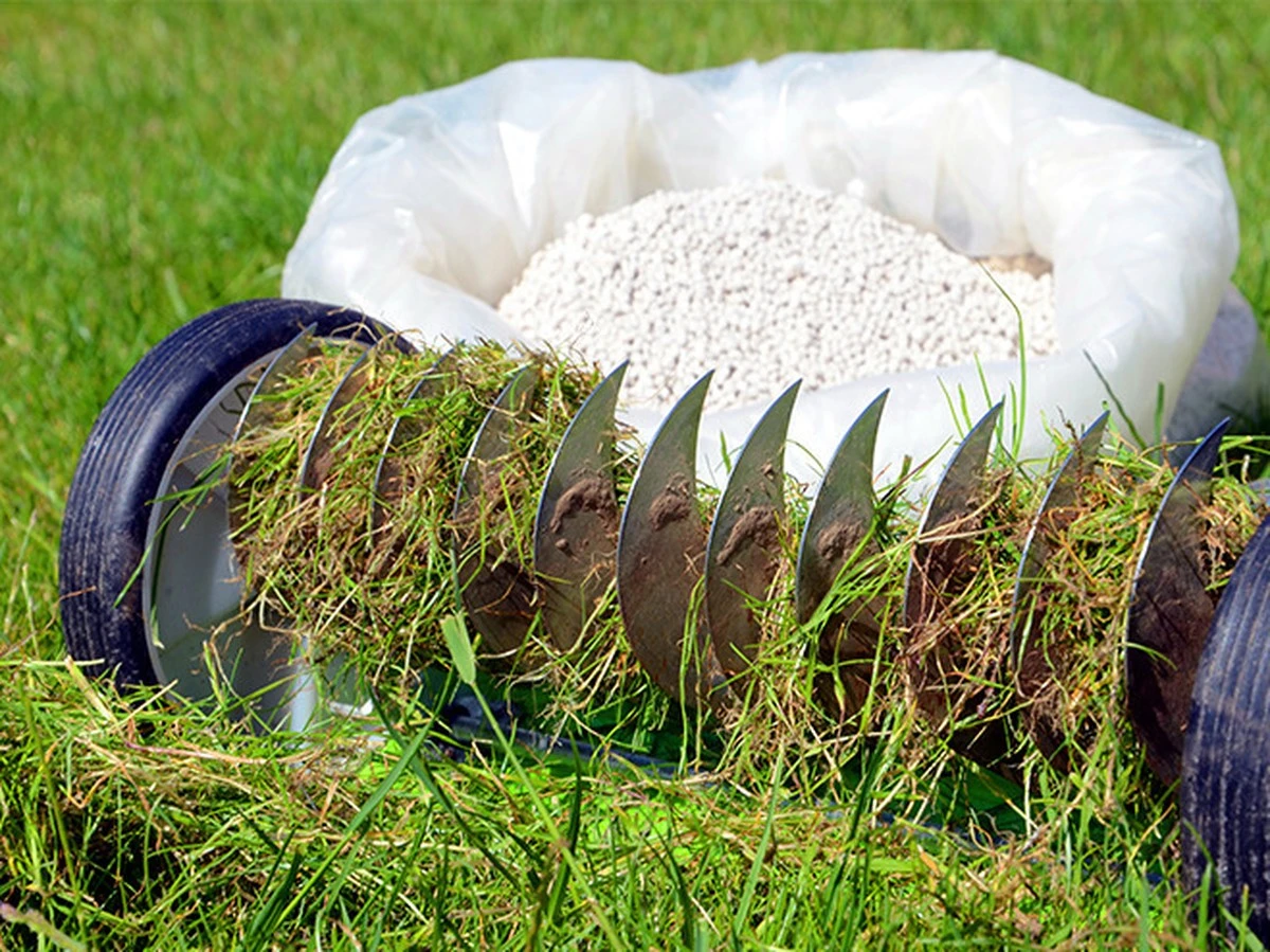 Action hat die Lösung gegen Moos: Schluss mit schrubben! - image 2