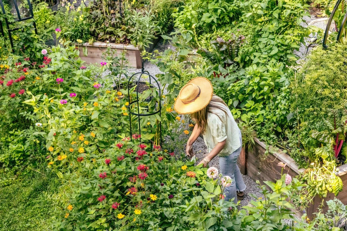 Der faule Gärtner: Dieses unglaubliche Duo spart Ihnen Frühlingsarbeit und Wasser - image 1