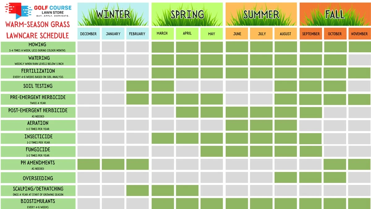 Der geheime Timing-Trick: Wann dein Rasen wirklich nach Dünger schreit - image 1