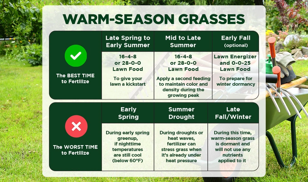 Der geheime Timing-Trick: Wann dein Rasen wirklich nach Dünger schreit - image 2
