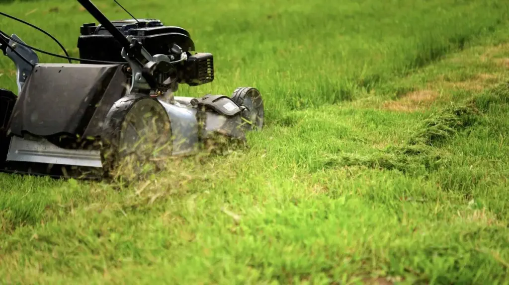 Der perfekte Zeitpunkt: Wann du deinen Rasen nach dem Winter das erste Mal mähen solltest