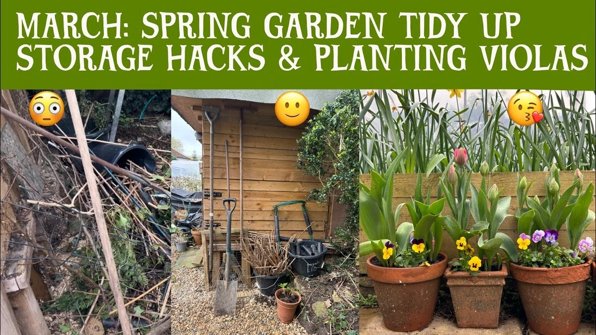 Der unbekannte März-Trick für üppige Rosen ohne Gärtner-Stress - image 2