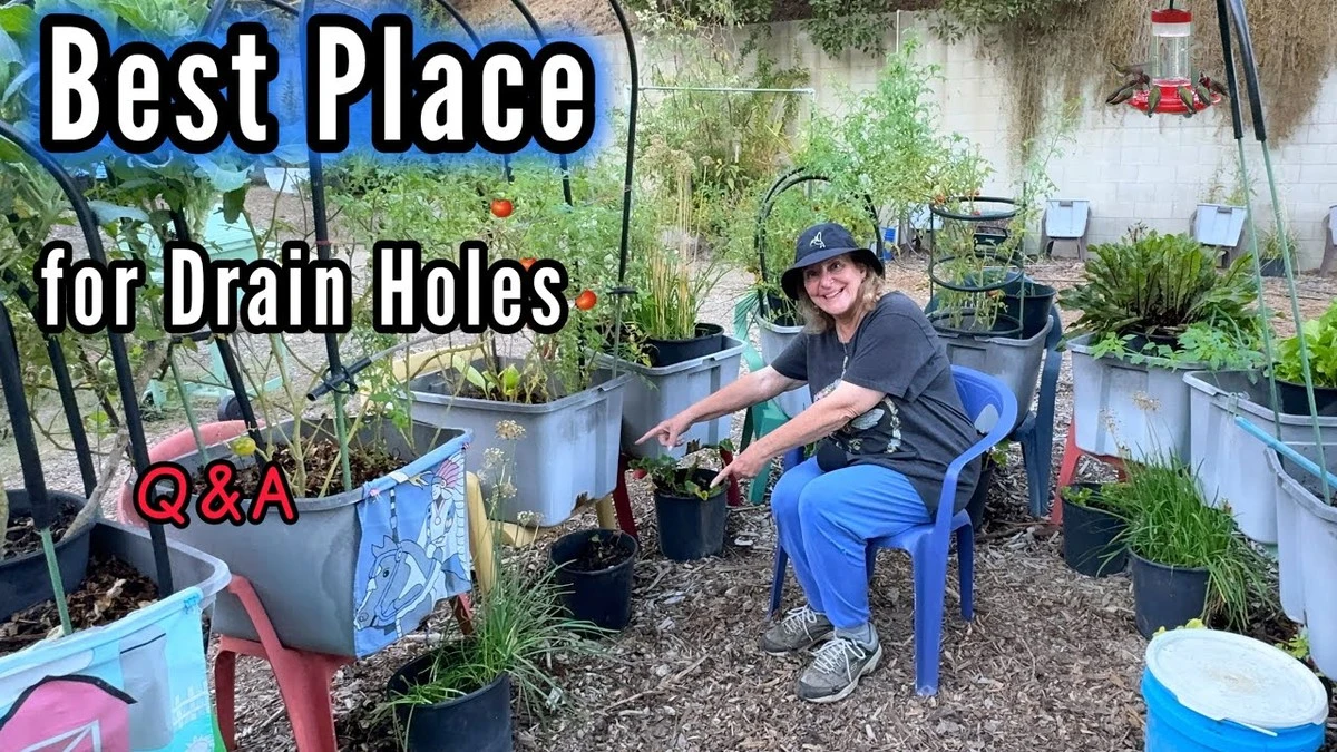 Die schlimmste Fehler mit meinen Pflanzen: Ein Drainage-Desaster im Topf - image 2