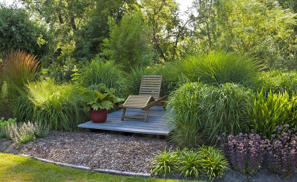 Diese 6 Pflanzen brauchen NIE Wasser: Das Geheimnis üppiger Beete ab Mitte März enthüllt - image 2