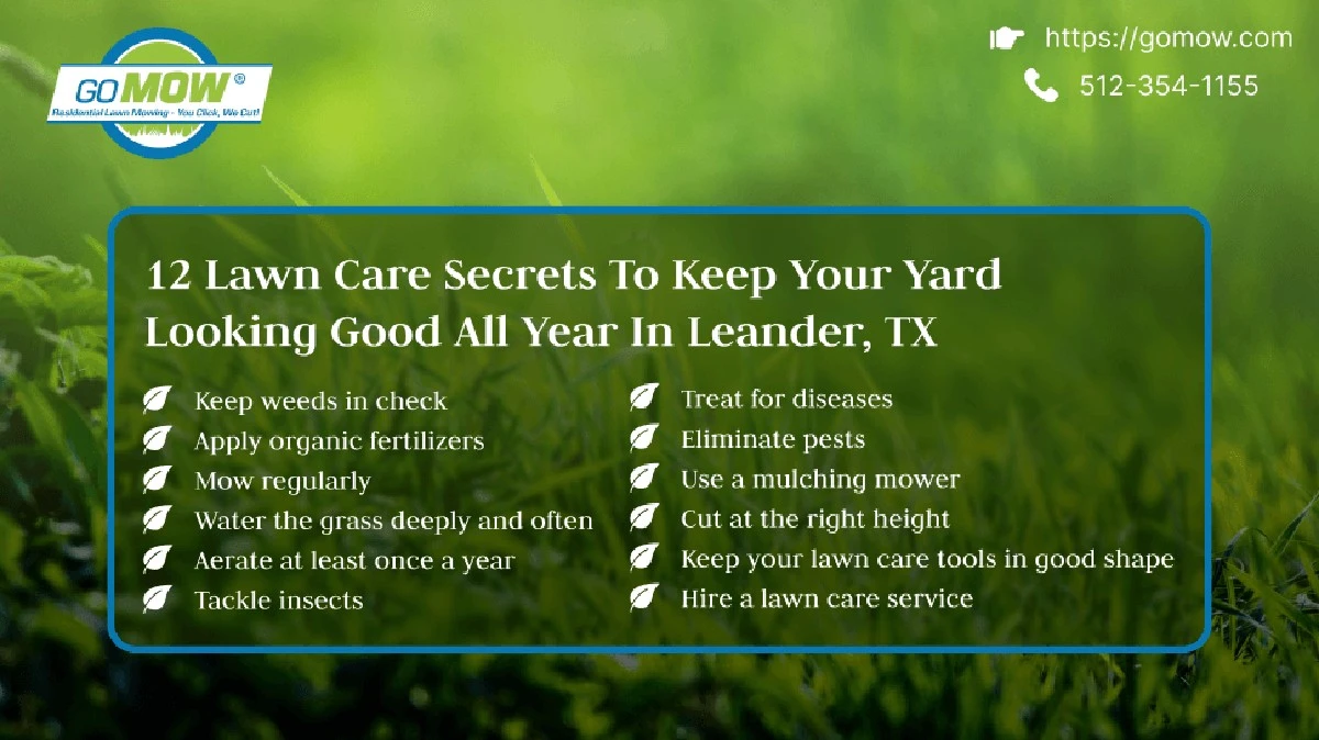 Dieser Rasenfehler zieht Schädlinge magisch an – und so vermeiden Sie ihn - image 2