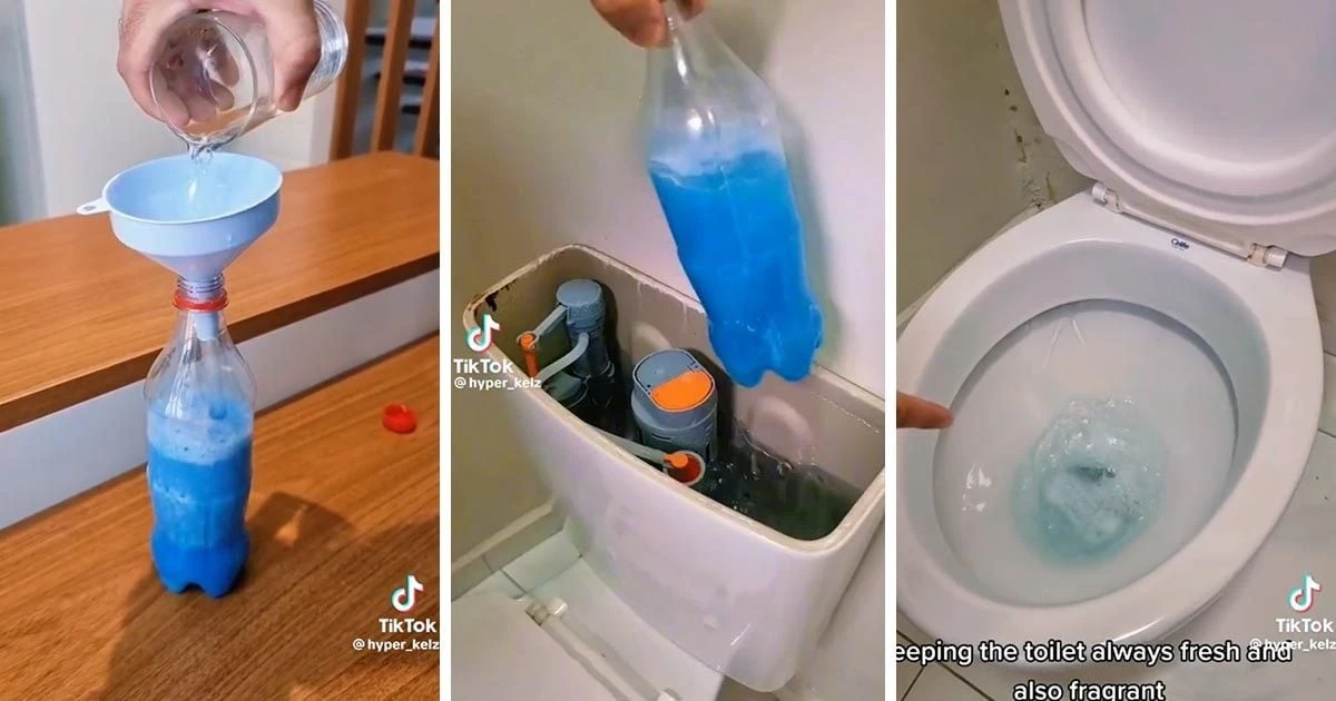 Dieses Hausmittel aus Österreich macht Ihre Toilette frisch und duftend - image 1