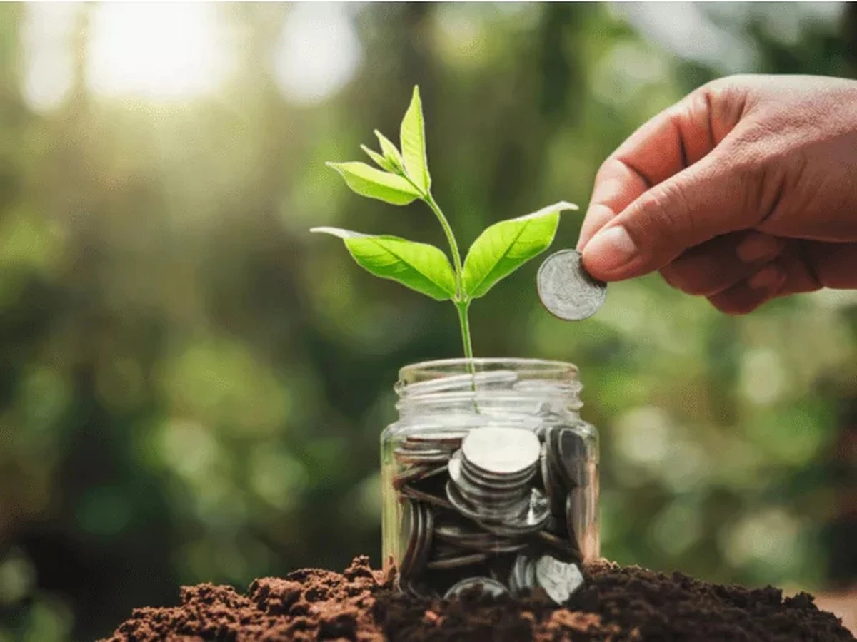Drei Münzen unter der Fußmatte: So brachte meine Lehrerin den Wohlstand nach Hause - image 2
