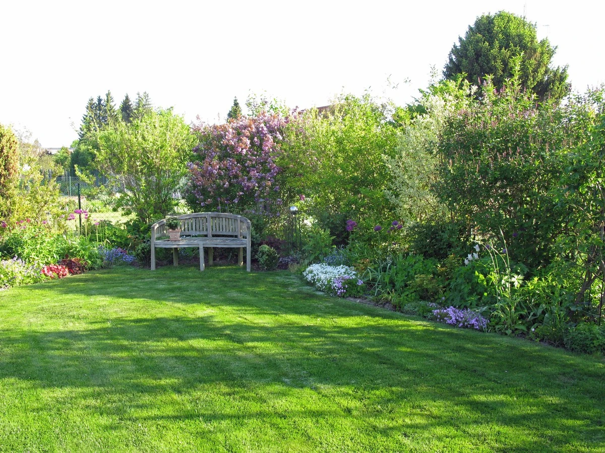 Erste Mahd: Warum Ihr Rasen unter Moos erstickt (und wie Sie ihn vor April wieder zur dichten Teppich machen) - image 2