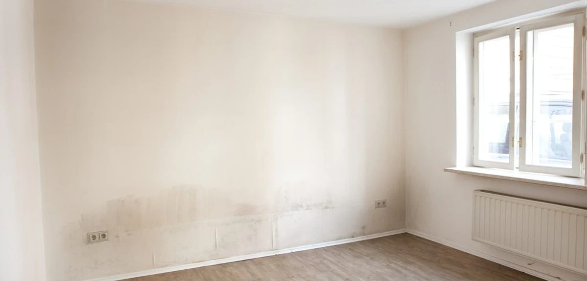 Flecken an der Wand? 5 Hausmittel für strahlend weiße Tapeten - image 1