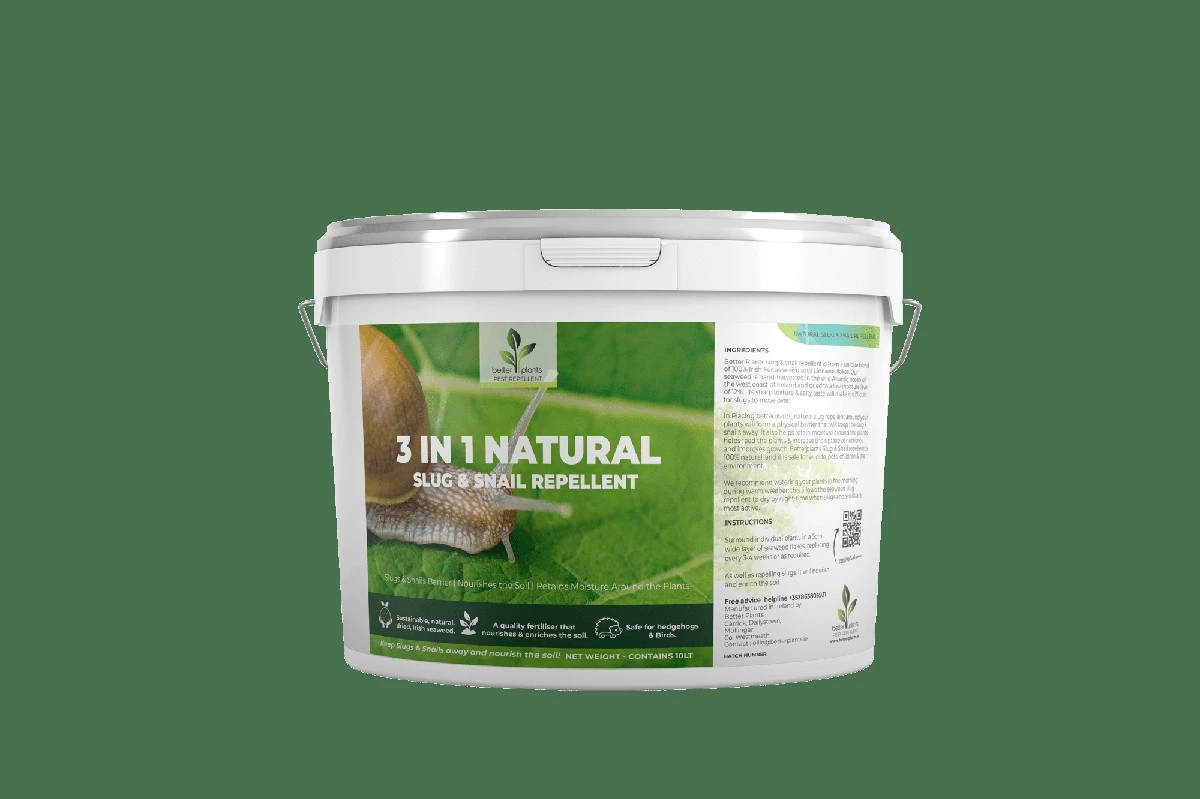 Geheimtipps gegen Schnecken: Diese Hausmittel retten deinen Garten - image 2