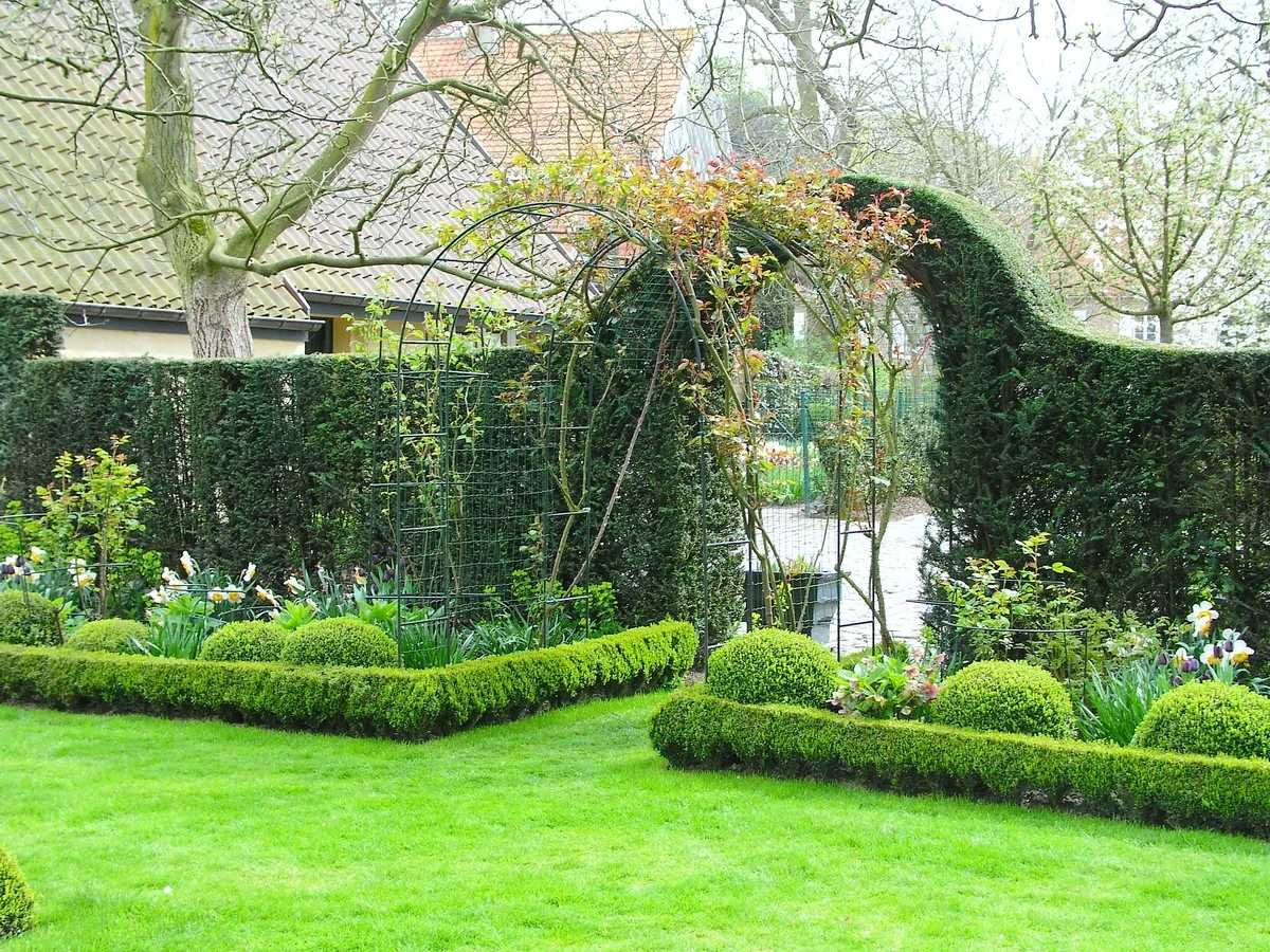Ihr Garten wirkt trist? Diese pflanzliche optische Täuschung verwandelt ihn ohne Bauarbeiten - image 1
