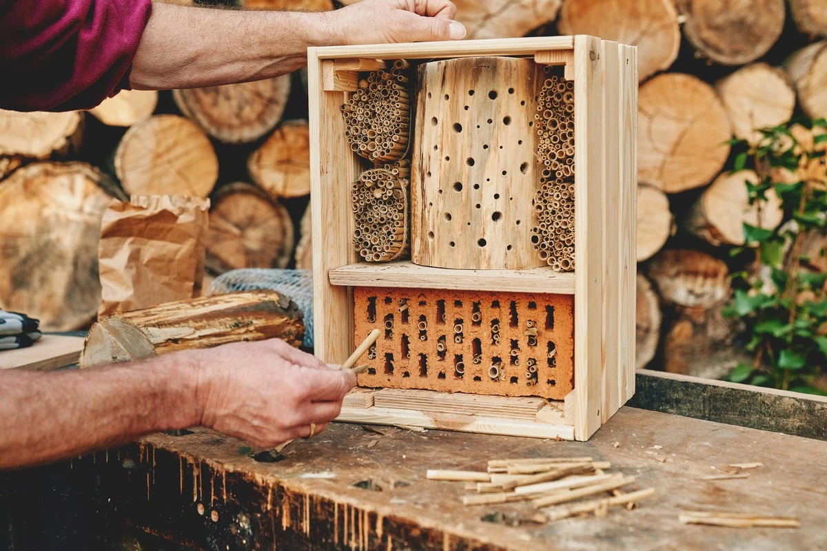 Insektenhotel: Warum sie zu Todesfallen werden und wie Sie das vermeiden - image 1
