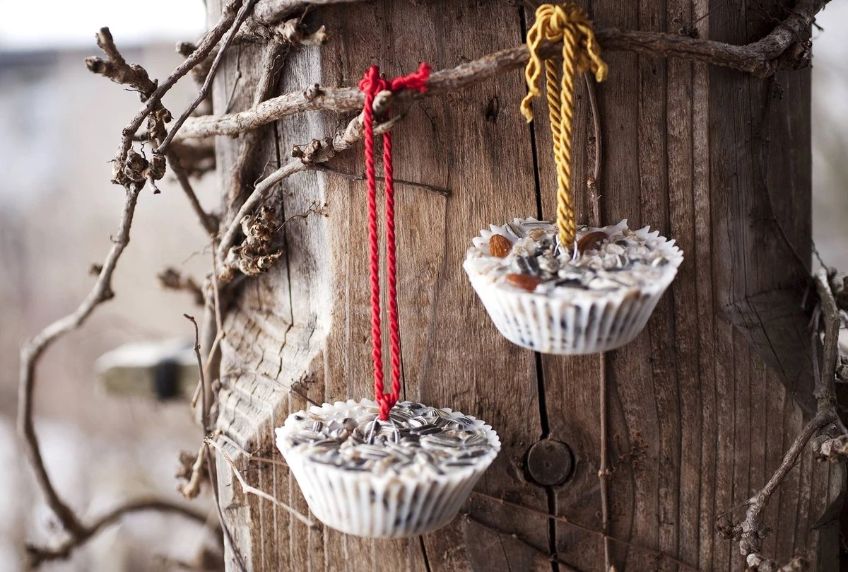 März: Weiter Samen für die Vögel füttern? Dieses Detail übersehen viele Ornithologen - image 2