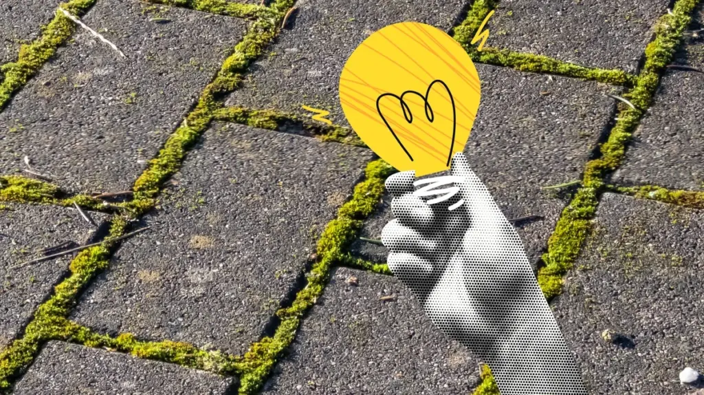 Moosfreie Terrasse und Einfahrt: Hausmittel statt Chemie – So sparst du richtig