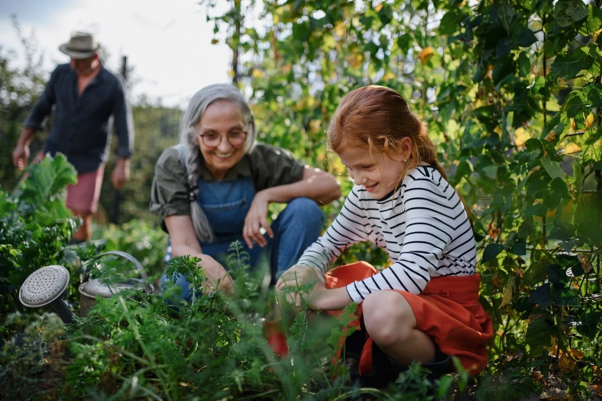 Rasen nachsäen im März: So gelingt dichter grüner Teppich wirklich - image 2