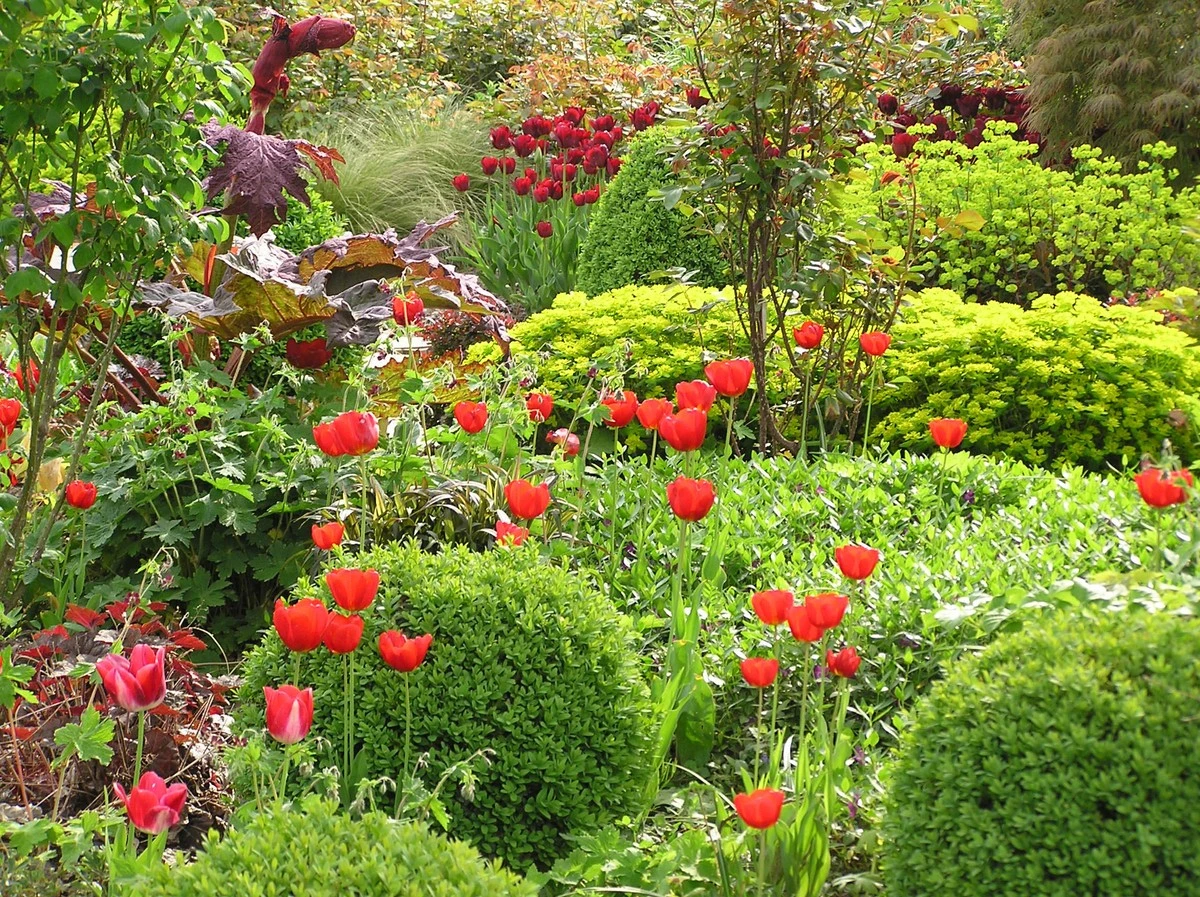 Trio-Geheimnis für blühende Beete: Diese 3 Pflanzen breiten sich blitzschnell aus und brauchen kaum Wasser! - image 1