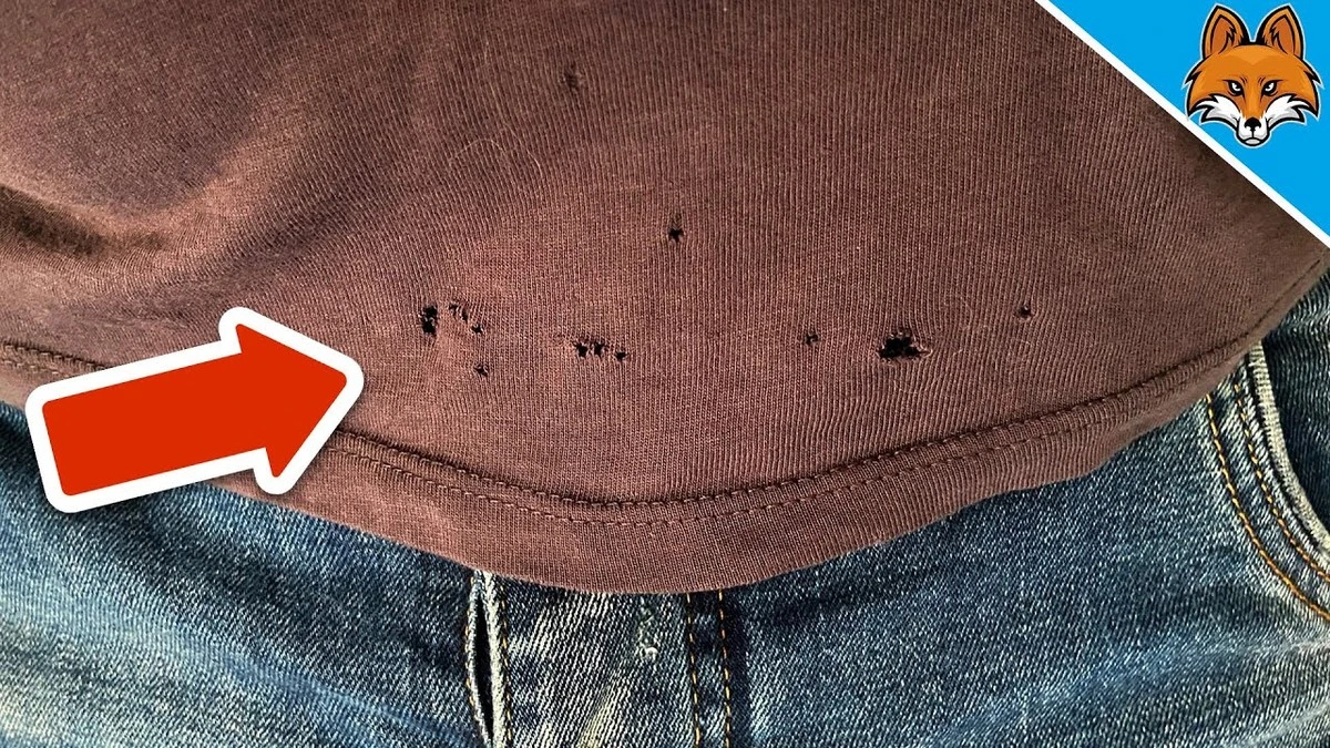 Warum deine T-Shirts immer Löcher bekommen: Die oft übersehene Ursache im Alltag - image 1