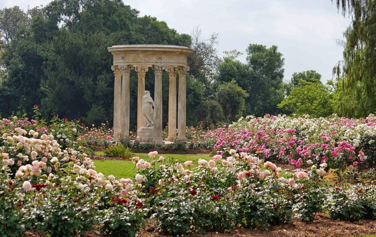 Warum dieser eine Zentimeter über Ihren Rosenblüten im Frühling entscheidet - image 1