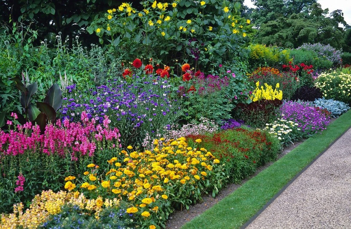 Warum erfahrene Gärtner diese 3 vergessenen Stauden für sich arbeiten lassen - image 1