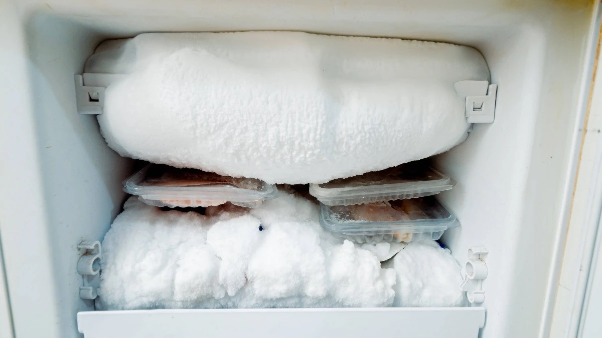 Warum erfahrene Gärtner einen Schwamm in ihren Gefrierschrank legen - image 1